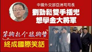 中国外交部亚洲司司长刘劲松双手插兜，想学金大将军。笨狗扎个狼狗势，终成国际笑话。2025.11.19NO3155#刘劲松#金井正彰