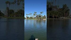 洛杉矶幽静的公园