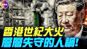香港世纪大火背后的人祸真相：法团推3.3亿天价维修案，承建商宏业2年违规10次，山东6.8元廉价防护网！港府甩锅竹棚，港人让人泪目！#真飞 #真观点