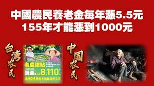 中国农民养老金每年涨5.5元，155年才能涨到1000元。韭菜还好意思说解放台湾吗？2026.02.26NO3335