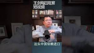习近平倡导的内循环似乎正在加速/王剑每日观察 #shortsvideo #shortsfeed #shortsviral