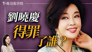 刘晓庆自曝五官司缠身，涉中共最高层？她大起大落的人生只因得罪他！｜薇羽看世间 20250210