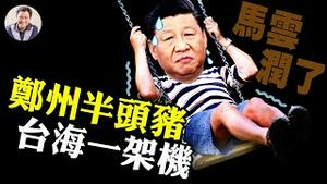 整猪搬回家，郑州市民吸取上海饥荒教训；全天一架飞机扰台，中共在轴心法连坐下示弱；习近平高层财经会，政策矛盾致全国混乱；马云润了么【江峰漫谈20220504第480期】