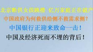 北京断供女孩跳楼，亿万家庭正在破产！中国政府为何救供给侧不救需求侧？银行系统正迎来致命一击！中国及经济死而不埋的背后！(20230718第1077期)