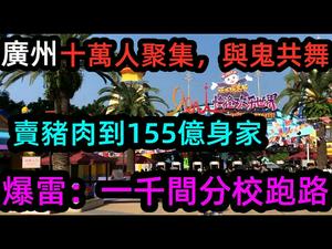 广州长隆万圣节数万人流聚集|大陆优胜教育爆雷，五千万家长错误的选择|几十万学费退款难|#万圣节#爆雷