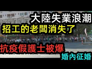 失业浪潮波及花都，路上都是找临时工的人|皮具之乡到处是旺铺出租|抗疫护士被踢爆无证医护，婚内征婚|#失业#找工作#兼职#CC subtitles added
