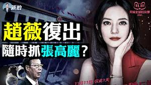 💥辽宁640万家畜成冰雕！一级暴雪；六中全会公报：习超毛邓，新内斗开始；习近平想约拜登看冬奥；中共侵台，美国说会采取行动；“双11”中国电商大赚，赵薇代言；《长津湖》要美国上映｜新闻拍案惊奇 大宇