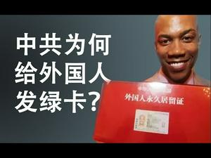 中共为什么要给外国人发绿卡？历史上的中国一直是一个移民国家（政论天下第125集 20200304）天亮时分