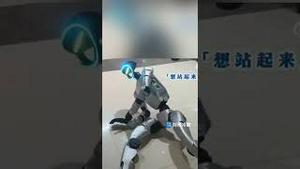 业内人士爆料：中国众多人形机器人公司之标准诈骗4步曲！都是电动玩具！four-step scam involving robots in China! All are electric toys