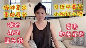 【重磅辱包】猫神再戏歪头熊，习近平蒙尘，小粉红心碎了无痕，为什么爱国就是你的罪过？