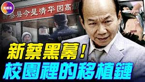 新蔡大股东是柬埔寨电诈大亨！把中国校园变成器guan库？中国各地秘密兴建KK园！#真观点 #真飞