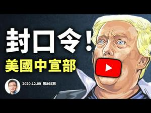 YouTube新规，文昭频道要搬家？测试版中宣部上线；十七州战团决战最高院（文昭谈古论今20201209第865期）