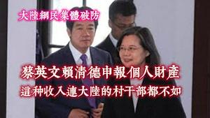大陆纲民集体破防，蔡英文赖清德申报个人财产，这种收入连大陆的村干部都不如。2024.02.27NO2203#蔡英文#赖清德