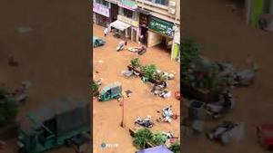 灾民们挺住，习煮席明年会去你们那里指导抗灾工作！