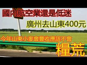 广州机场旅客众多，低价机票刺激消费|今年还会粮荒吗？山东小麦长势好|当地酒店价格一晚只要20多美金。是因为没有人消费了吗？#广州白云机场#粮荒