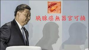 伟大领袖还健康吗？有无器官可换？《建民论推墙第2243期》