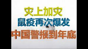 财经冷眼：灾上加灾 ，鼠疫再次爆发，中国警报到年底！联合国高度戒备！（20200708第279期）