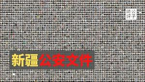 【公子时评】新疆公安内部文件泄密了！全球媒体曝光维吾尔再教育营真相！阅读宗教书籍判10年！留胡子判16年！联合国人权专员终于访问新疆...