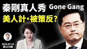 秦刚消失，成真人秀Gone Gang！大瓜会成真吗：中间谍美人计、甚至被策反？（文昭谈古论今20230714第1278期）