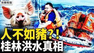 4水库同时洩洪，桂林洪水快闪热搜；灾民自救救人，消防车成婚车；突洩洪多人亡，警察暖心救猪【新闻看点 李沐阳6.20】