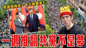 如何一周推翻共产党？尼泊尔青年的觉醒｜习总亲自传授治国方针，尼泊尔总理学完翻车｜粉红特报144期