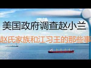 财经冷眼：全球媒体聚焦，美国政府调查赵小兰！深扒赵氏家族为祸美国，和江王勾兑的那些事！（20210305第470期）