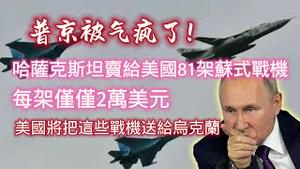 普京被气疯了！哈萨克斯坦卖给美国81架苏式战机，每架仅仅2万美元，美国将把这些战机送给乌克兰。2024.04.30NO2278