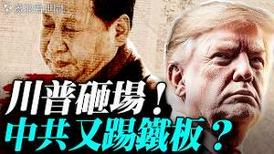 达沃斯三国杀，谁是新世界霸主？川普霸气外洩！卡尼组团反美，习近平踢到铁板？｜薇羽看世间 20260122