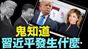 今早川普暗示：承认中共国内部发生某种不可预测的大事情！（10/17/25）#川普 #trump #特朗普 #musk