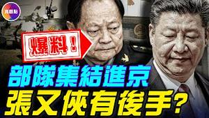 北京出现大批黑衣人，军队集结进京！爆料：张又侠有后手，各军区军长正秘密筹谋？！#真飞 #真观点