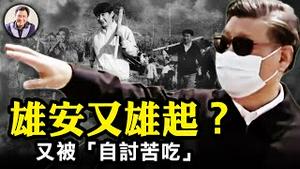 雄安烂尾？习近平称“完全正确”！折腾正式开始：驻京央企、金融机构、事业单位都要搬。曝雄安不宜人居内幕。“自讨苦吃”有何不妥？谈政府什么锅不能甩【江峰漫谈20230511第673期】