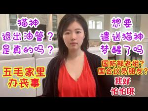 【猫神哭了】猫神退出油管？五毛梦醒了吗？想要遣送猫神？你太励志了！猫神感动的哭了！国防部老姐？国会议员朋友？说！你到底喝了多少？