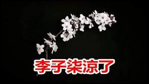 有多少仙境就有多少陷阱!海外华人第一女博主凉了《建民论推墙1397》