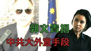 大外宣记者采访郭文贵 满口谎言丑态百出  [中文字幕]｜KO3316