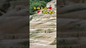 水稻上山遇见了暴雨