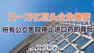 突发！又一万亿企业巨头暴雷！所有公立医院停止进口药的背后！(20250116第1348期)