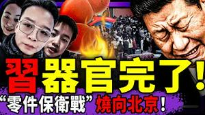 习近平器官完了：河南人打响“零件保卫战”，150岁工程泡汤？汪文斌卖猪仔？官二代反了：实名揭伊朗高层惊人惨状；（老北京茶馆/第1533集/2026/01/16）
