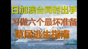 财经冷眼：日加澳台印再出重拳痛击！高官透露习近平的六个最坏打算！（20200704第276期）