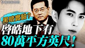 秦刚现身启皓！《红色轮盘》描述启皓建设团队全国际，地下空间80万平方英尺！比格斯曝光，中共权贵的地下方舟和黑暗实验；杨兰兰弃豪华公寓逃跑了？｜薇羽看世间 20251020