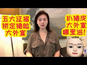 【扒猪皮】扒皮猪妹大外宣，五大证据锁定你，假川粉、假反共五毛哪里逃？猪皮下隐藏的读稿按摩女，你就是不见天日，猫爷也让你现行！