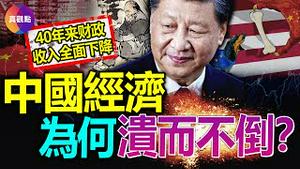 🚨改开40年来各项财政收入全线下降! 中国前两月经济数据出台, 回温的表像下大有玄机! 中国经济危机四伏, 为何总也不倒? 当21世纪孔乙己遭遇经济暗湧, 会发生什么?【20230327】