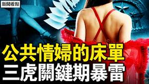 宣传高官如惊鸟，红歌手官网消失；黑名单三虎出事，仕途关键期暴雷；公共情妇湧现，中共系统的配件【新闻看点 李沐阳11.27】