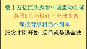 数十万亿巨头骨折抛售中国震动全球！英国8只小粉红上全球头条，深挖背景相当不简单！股灾才刚开始，反弹就是逃命波？(20240122第1139期)