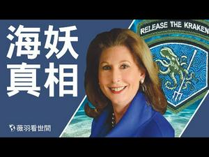 【第194期】释放大海怪，拜登舞弊阴谋无处遁形。鲍威尔律师说的释放大海怪（海妖），其实是川普总统布局中的一环。美国大选形势正在反转，习近平祝贺拜登，败像已现。| 薇羽看世间 20201125