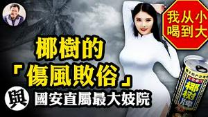 欧洲最大妓院直属国安部？德国警方端掉中共洗钱招募线人中心；椰树集团“低俗广告”本是流量密码，为何此次查“俗”要与政府硬刚【江峰漫谈20240510第868期】