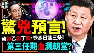 习近平登基年月日现三卯大凶相，多个预言入兑现模式！李强反对票数藏玄机！习第三任期白鸟撞崖？（老北京茶馆/第900集/2023/03/11）