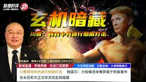 11/16/2020 路德时评（路博艾冠谈）：美媒“川普将会在总统就任前对中共强力的彻底打击！”；鲍威尔“涉及29个州的大规模选举案件是刑事案件”意味着什么？多米尼系统和方正汉子系统有什么关系？