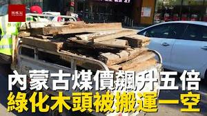 天气寒冷，内蒙古煤价直接飙升五倍！煤价太高，呼和浩特道路旁边绿化区木头被市民偷偷搬运回家取暖