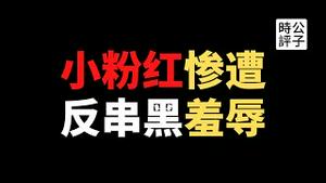 【公子时评】报应来了，小粉红惨遭社会主义铁拳，反串黑出手了！教训五毛哪家强？共产党主子来帮忙！