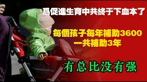 为促进生育中共终于下血本了，每个孩子每年补助3600元，一共补助3年。有总比没有强。2025.07.29NO2828
